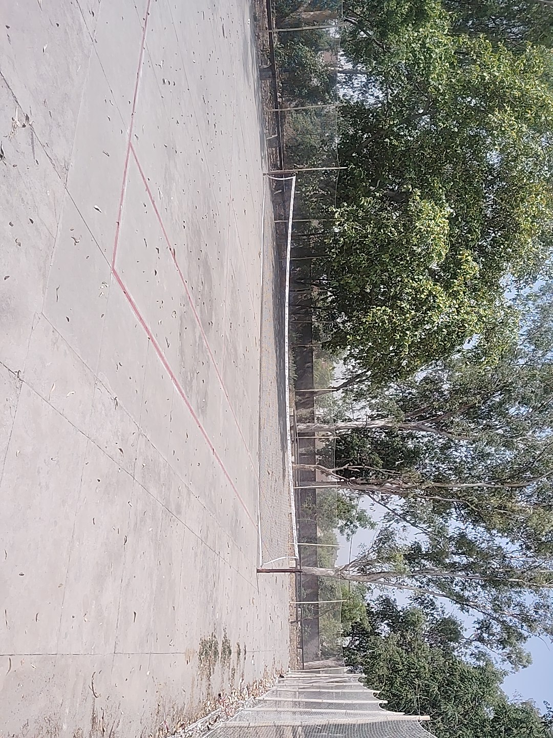 Lawn tennis at Government Brijindra College, Faridkot